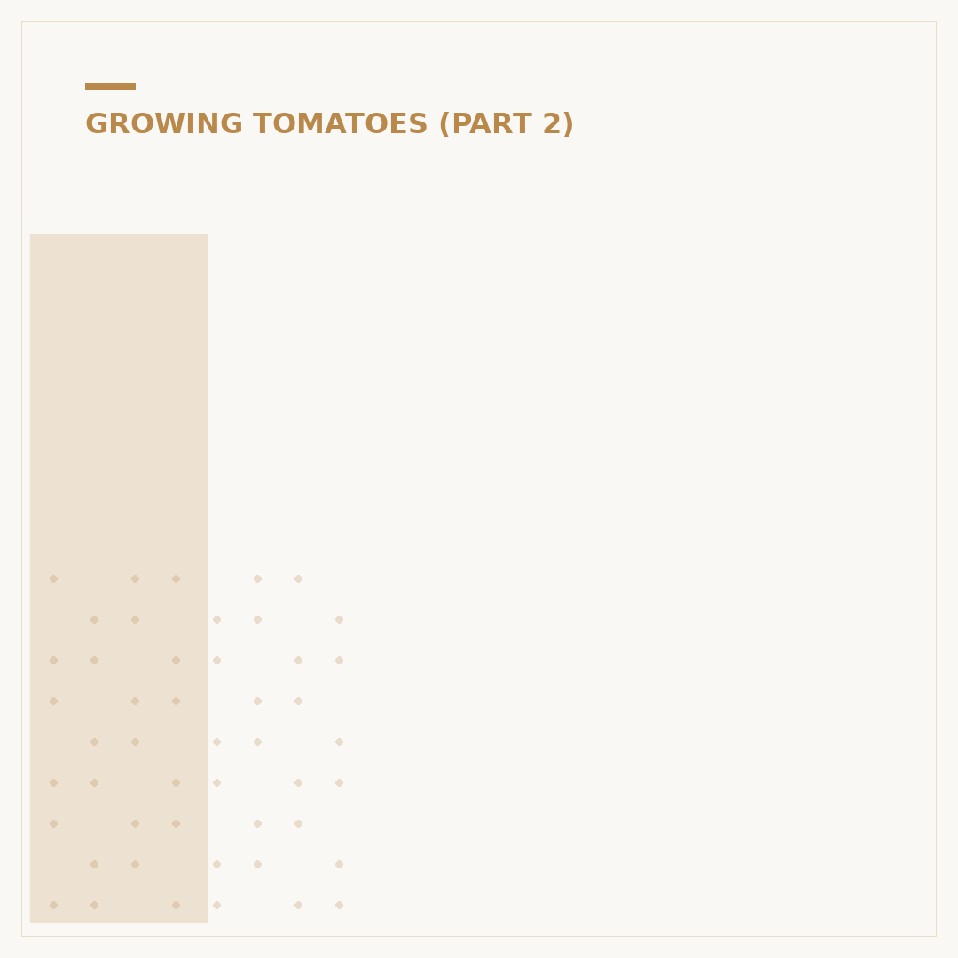 Is Tomato Feed Good For All Plants?