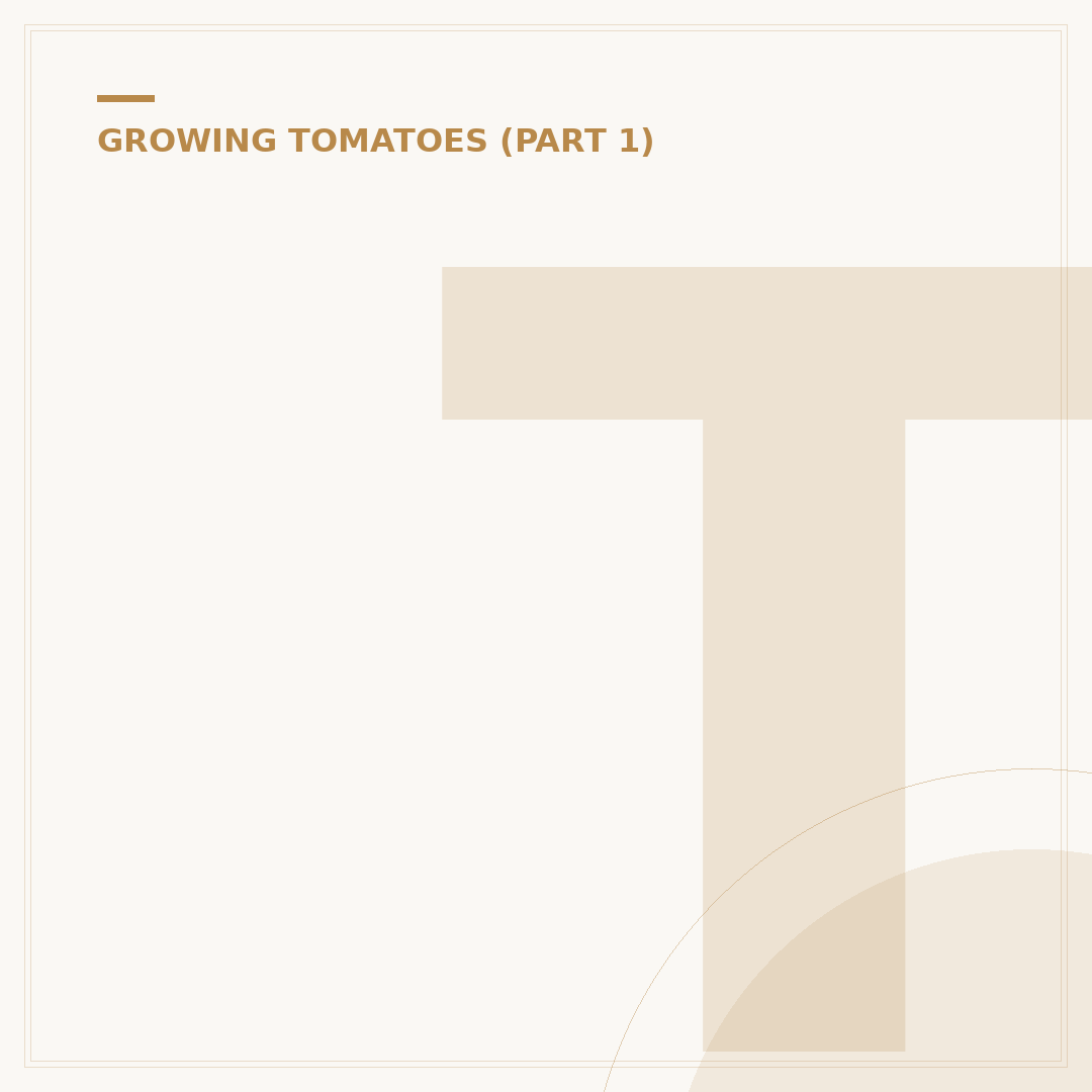 Tomato Plant Blight: Identification and Management