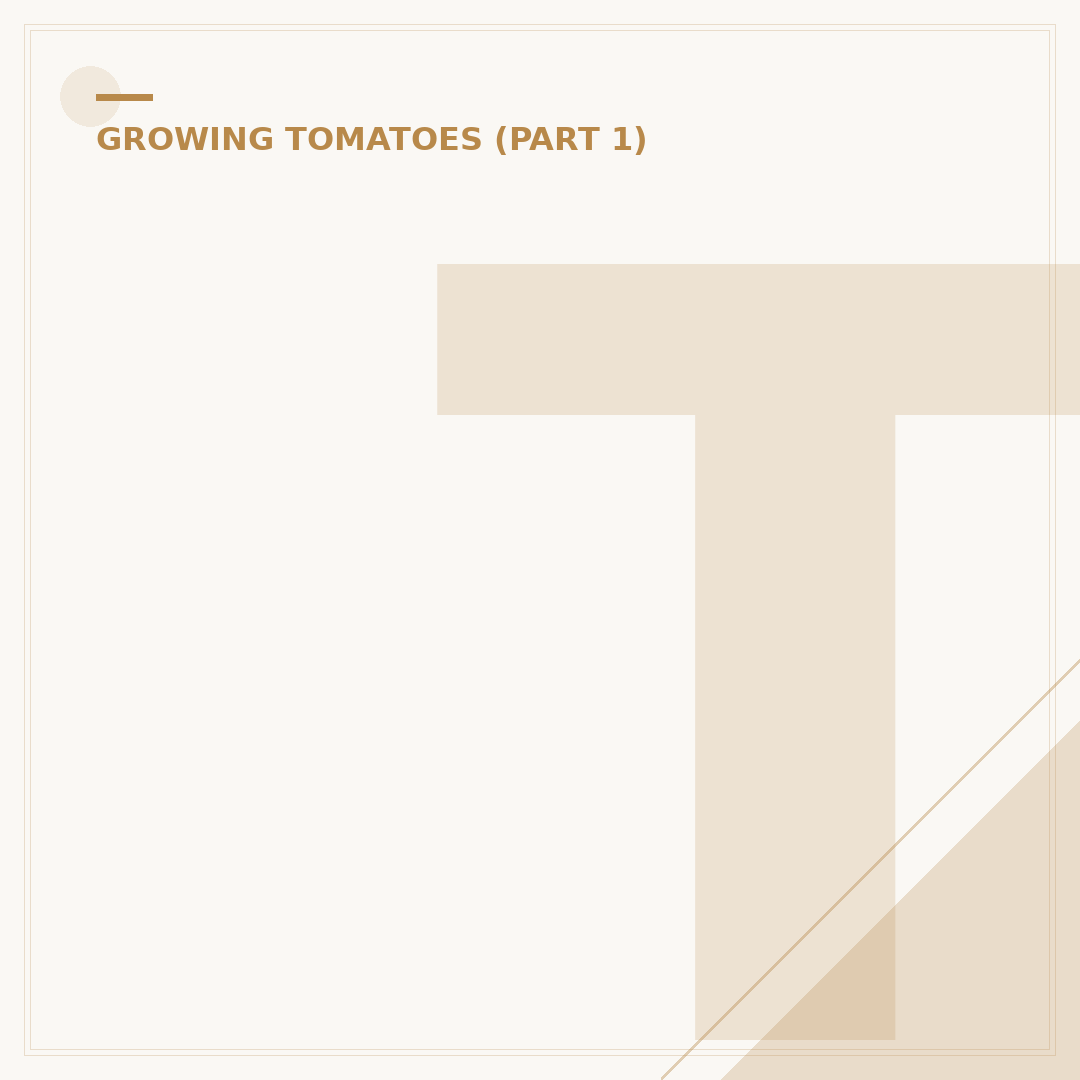 Tomato Plant Seeds: Growing from Sowing to Harvest