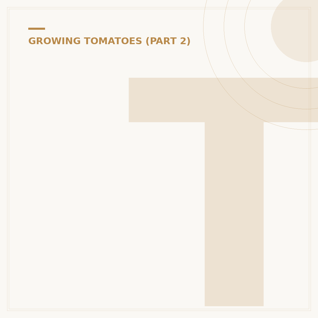 Tomato Plant Self Watering Systems: Options & Benefits
