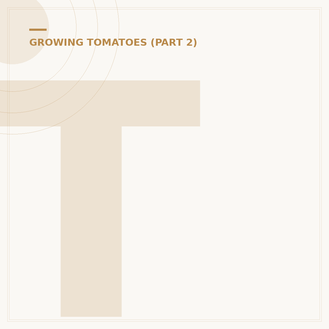 Tomato Plant Watering System