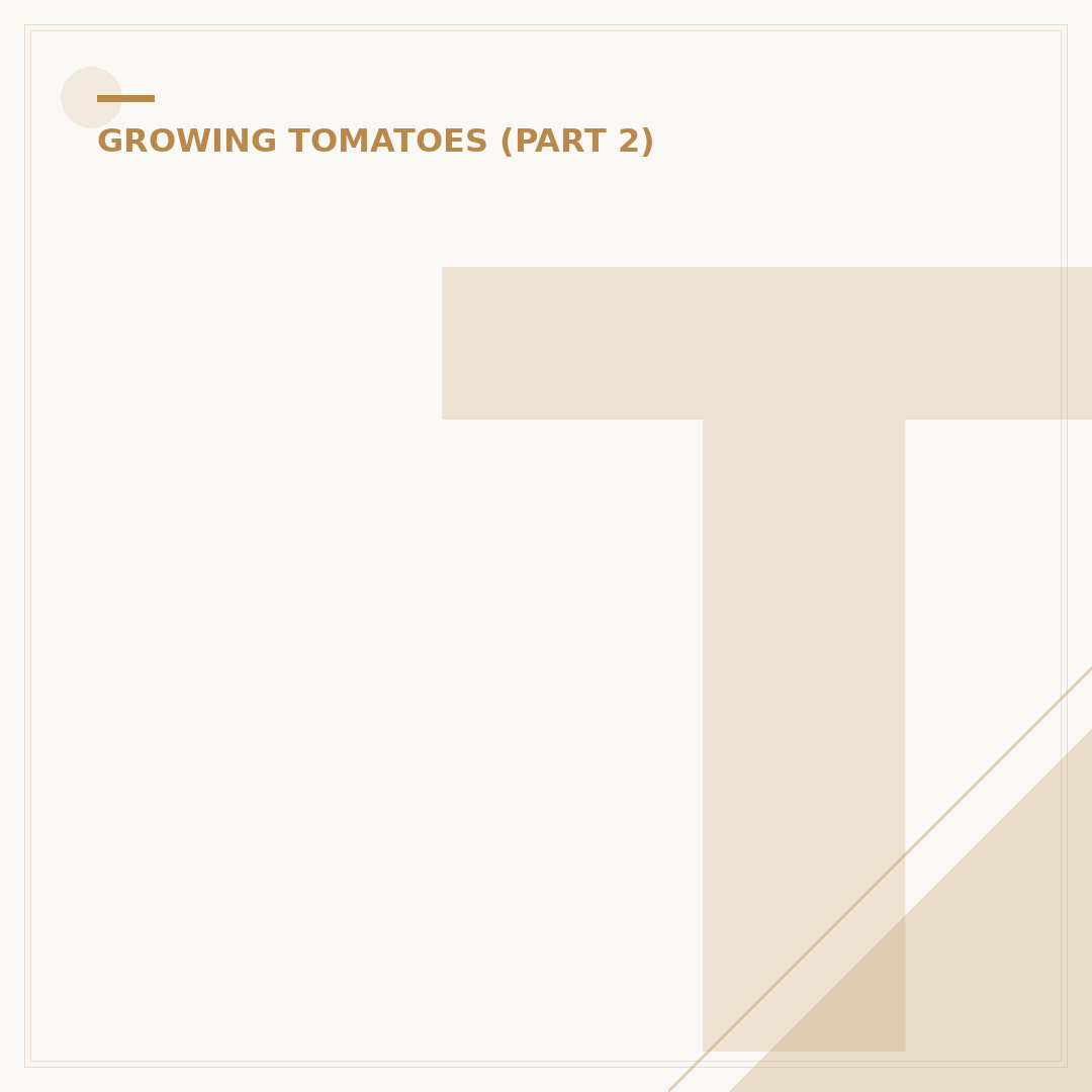 Tomato Plant Wilting: Causes and How to Revive Them