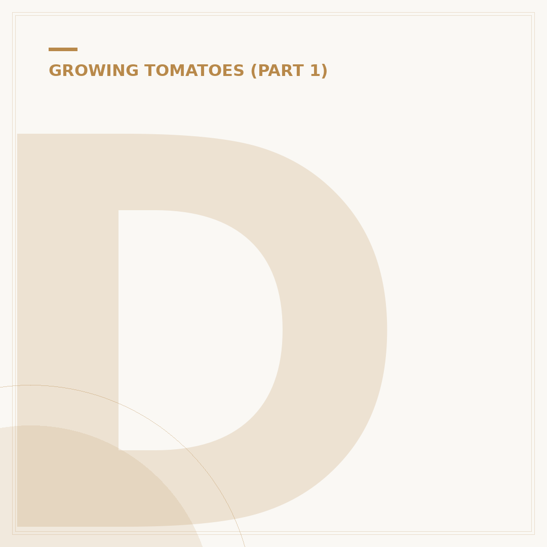 Do Tomato Plants Need Full Sun?