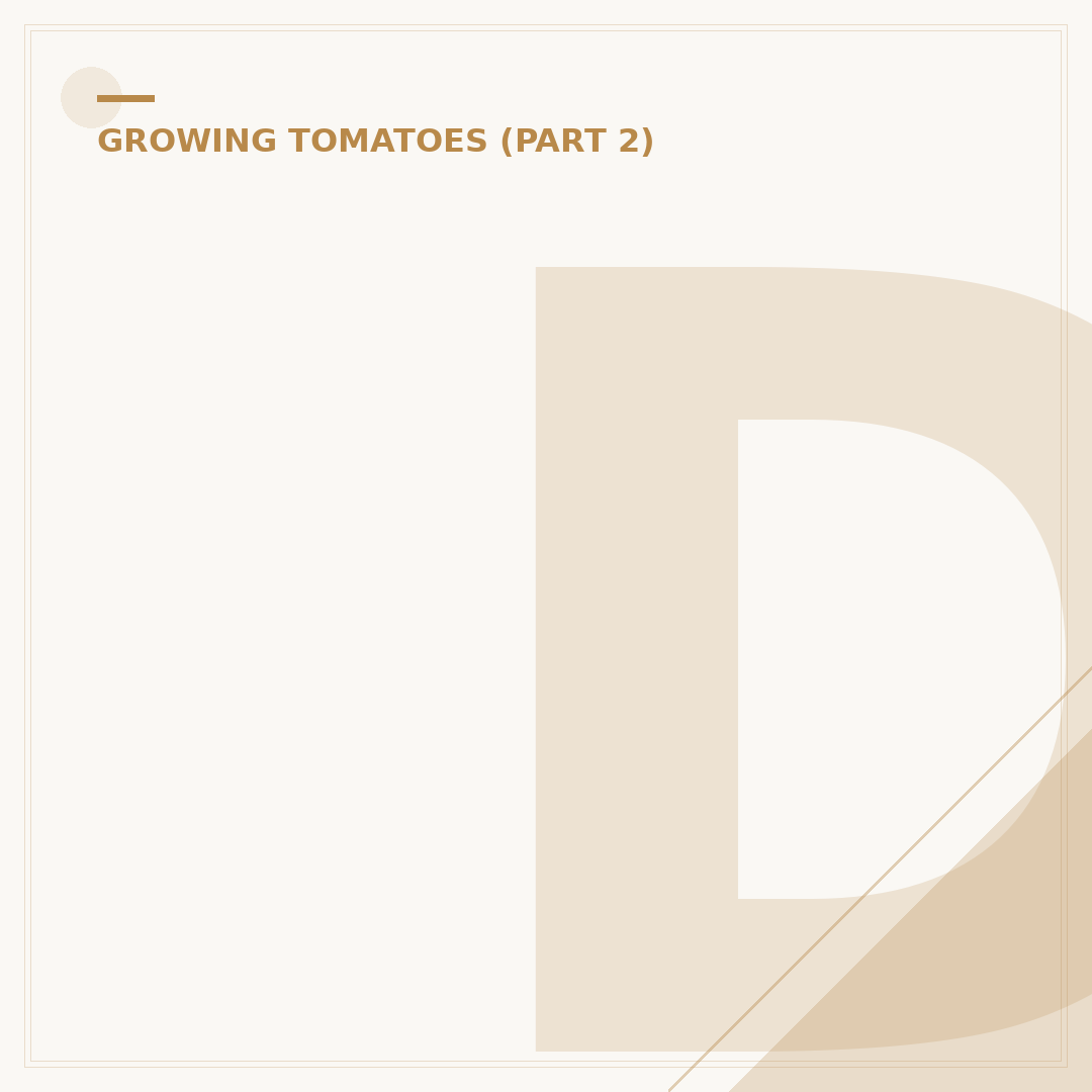 Do Tomato Plants Need Full Sunlight?