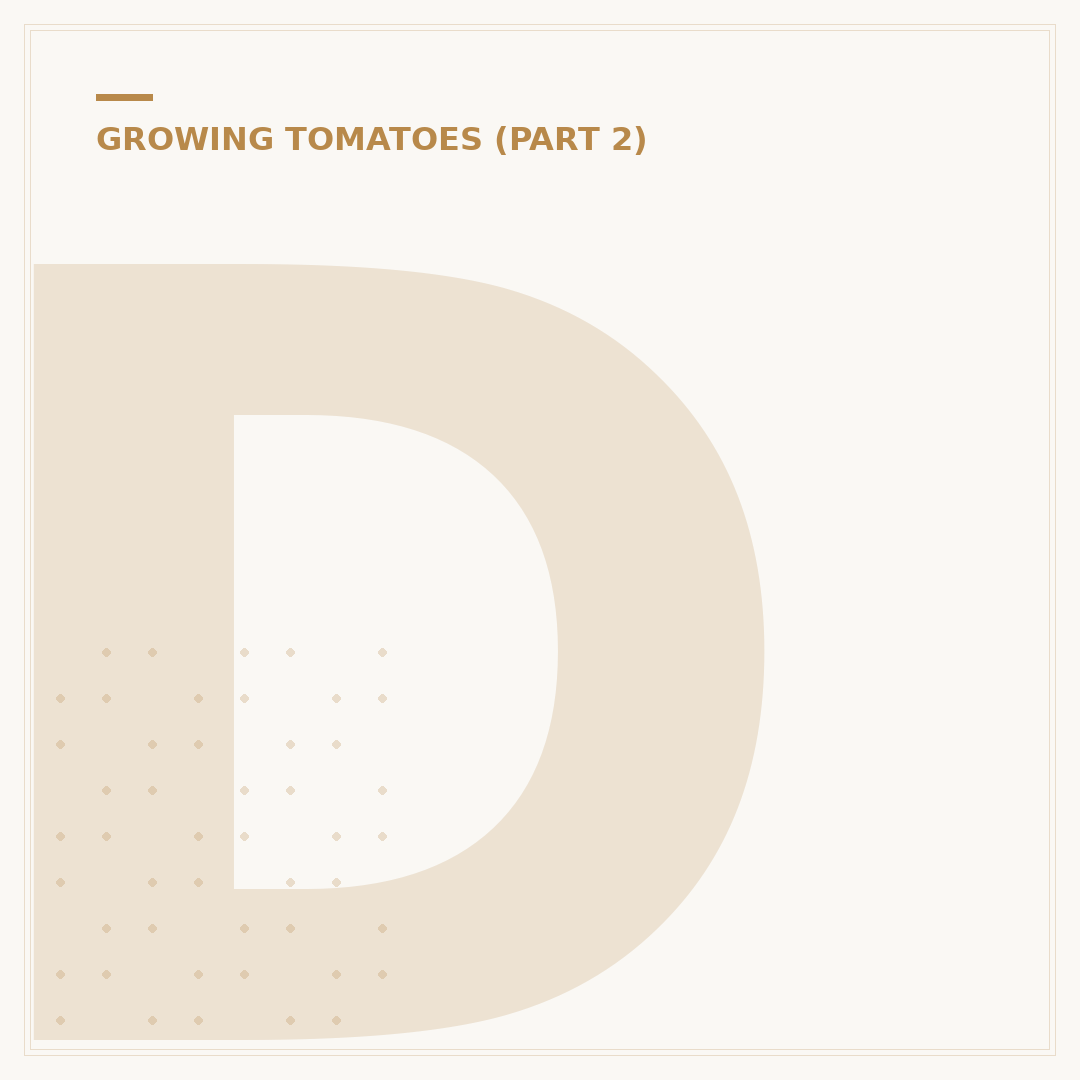 Do Tomato Plants Grow Back Every Year?