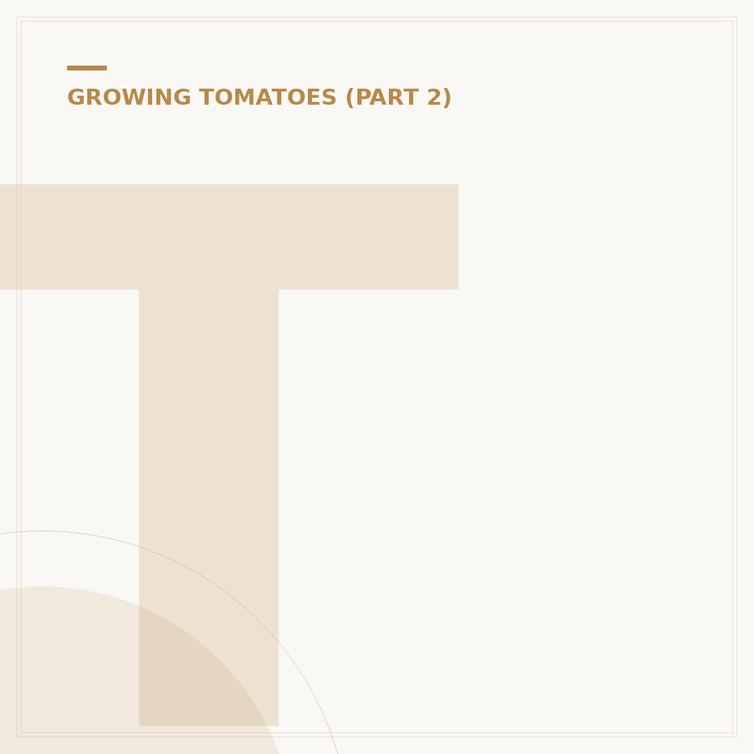 Tomato Plants Going Yellow: Causes and Fixes