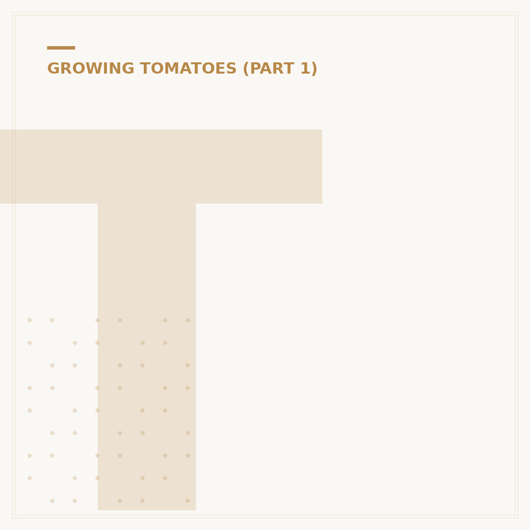 Tomato Seeds: Choosing Varieties for Your Garden