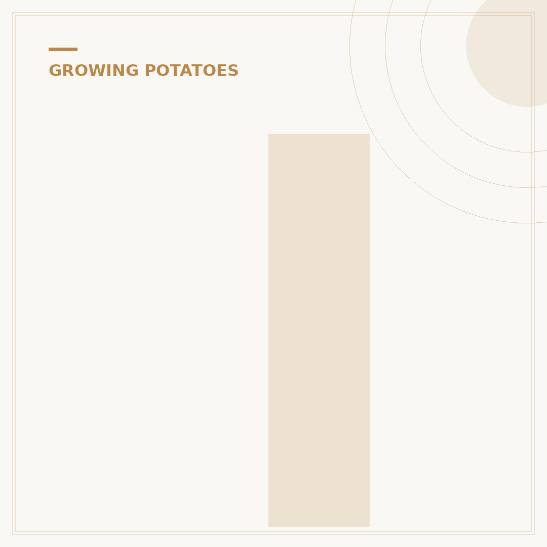 Is It Too Late to Plant Potatoes?