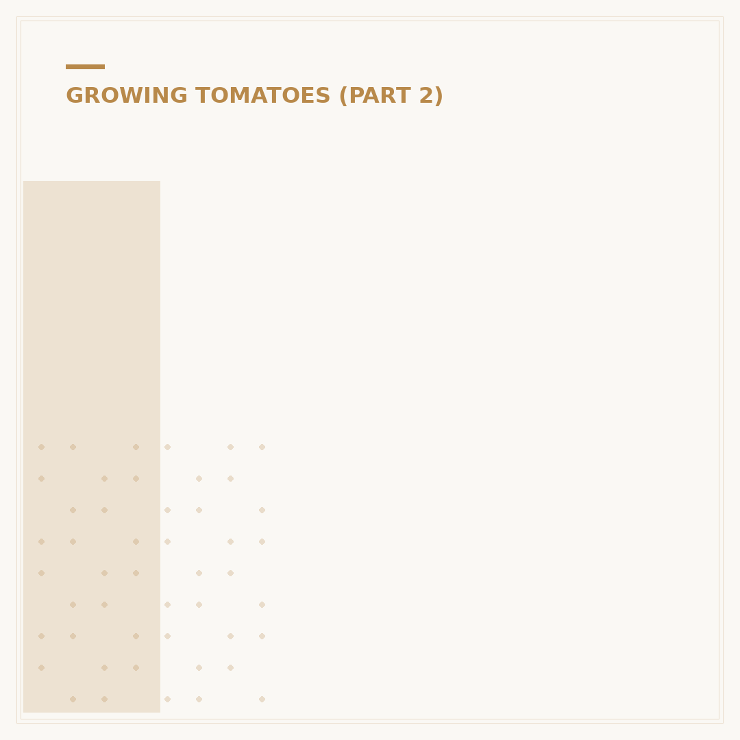 Is It Too Late to Plant Tomatoes?