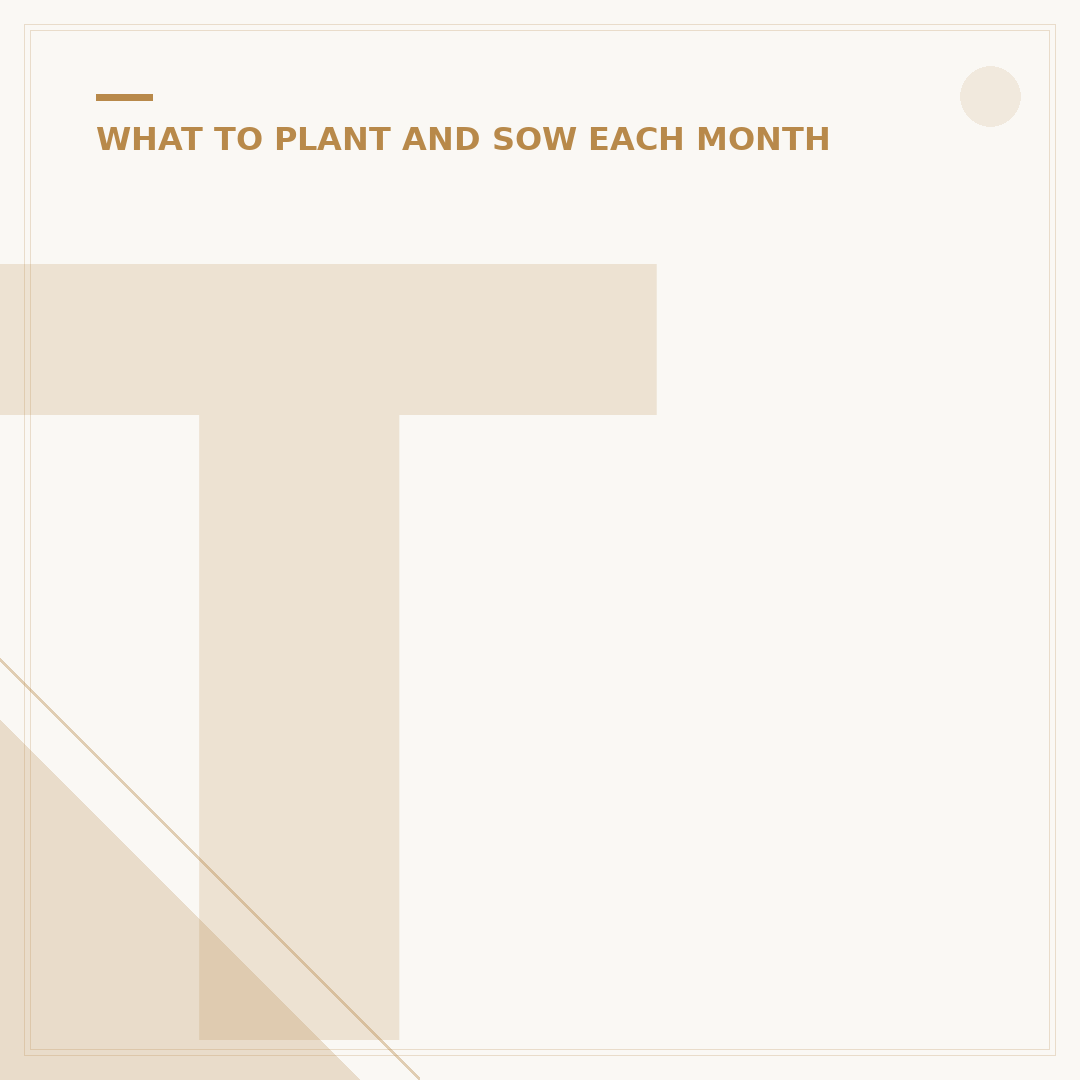 Tough Plants for Long Summers: Drought-Tolerant Choices