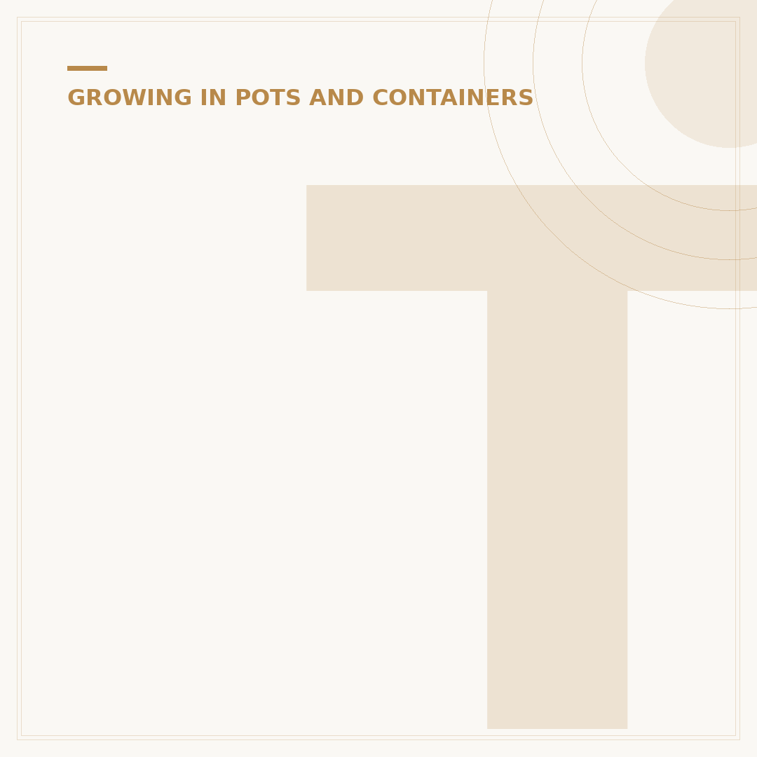 Trailing Plants for Containers