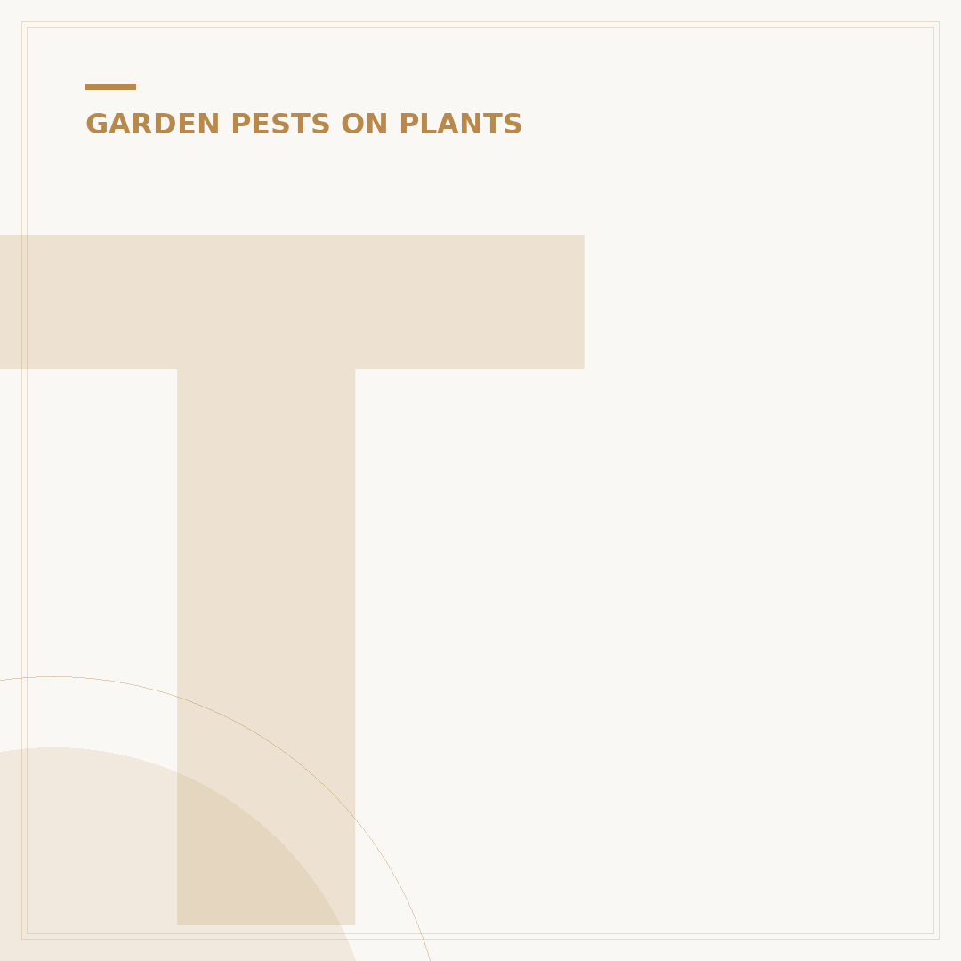 Treating Scale Insects: Effective Control Methods