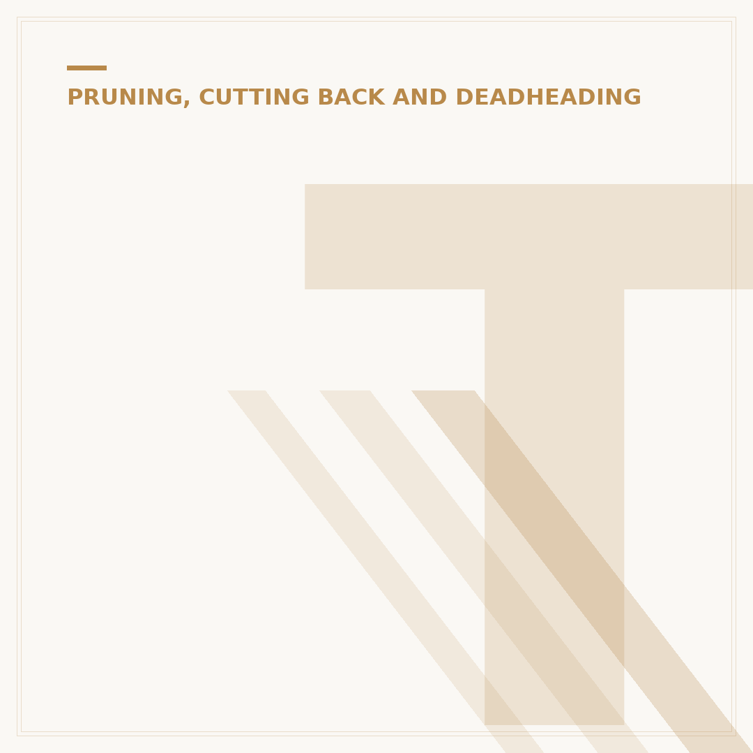 Tree Pruning Tools