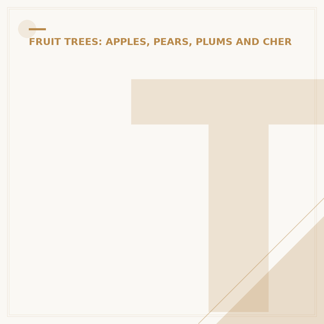 Trimming Cherry Trees: When and How to Prune