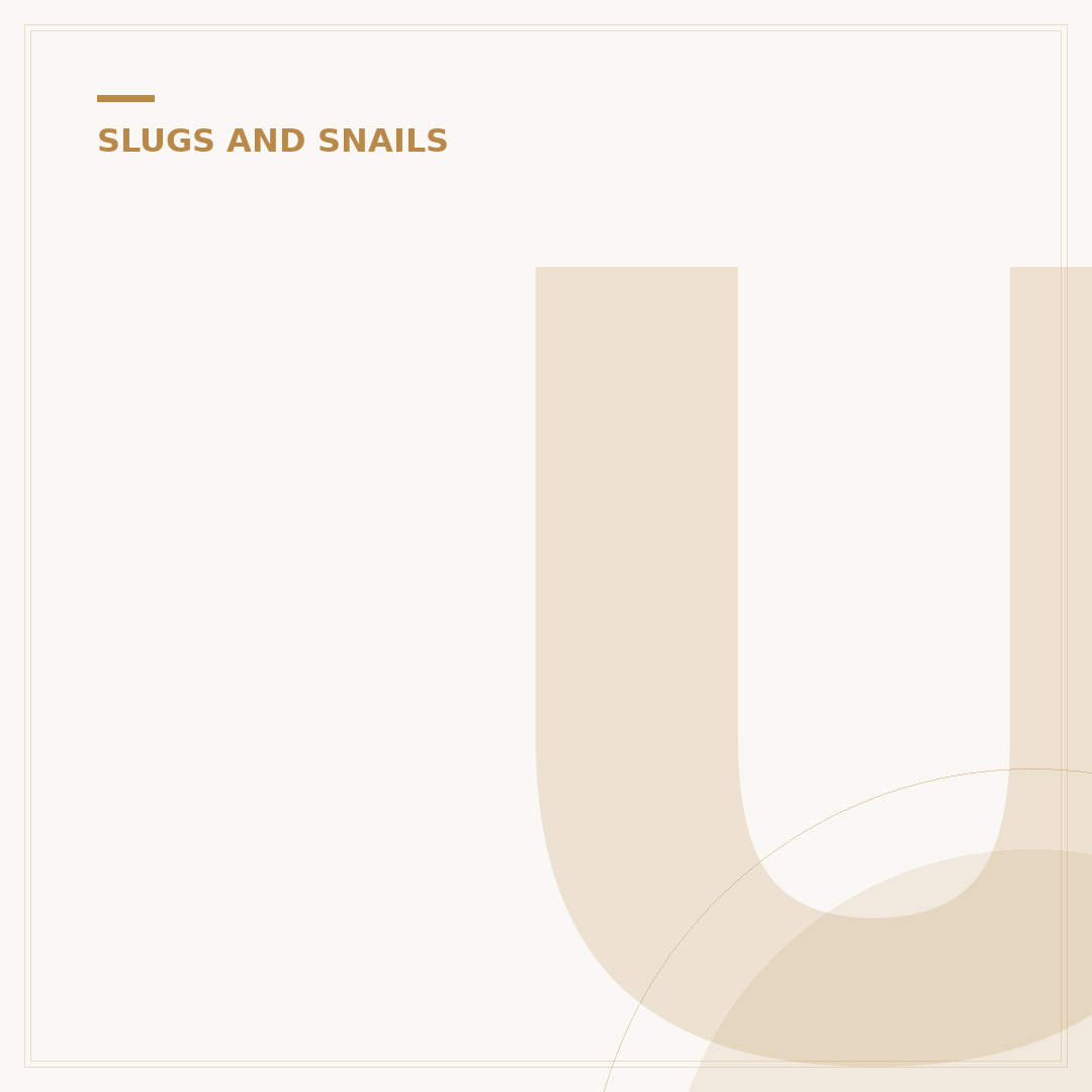 UK Slugs Identification: Common Species & How to Spot Them
