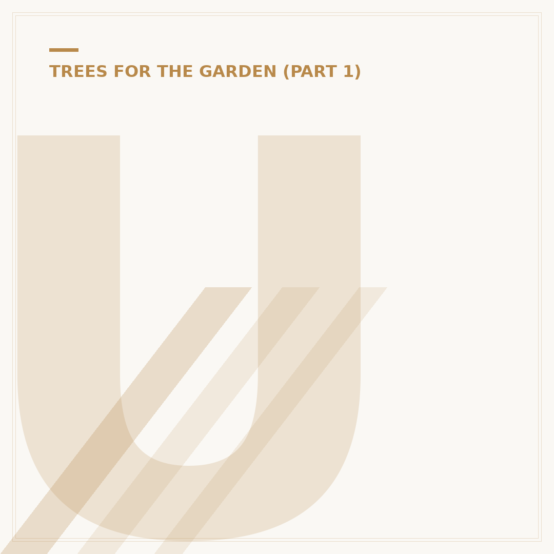 Under the Oak Tree: Creating a Shade Garden Sanctuary