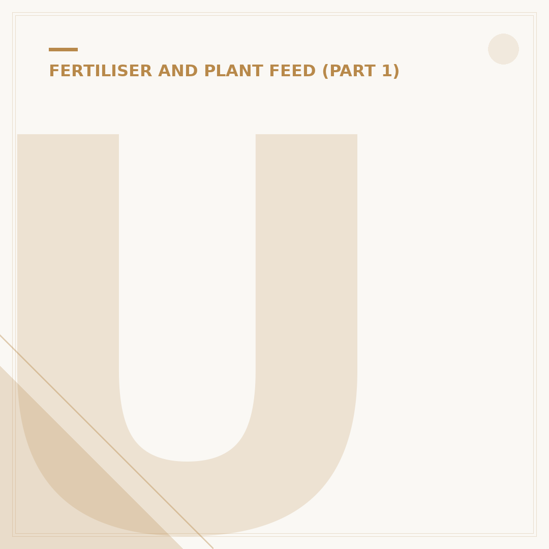 Using 10-10-10 Fertilizer