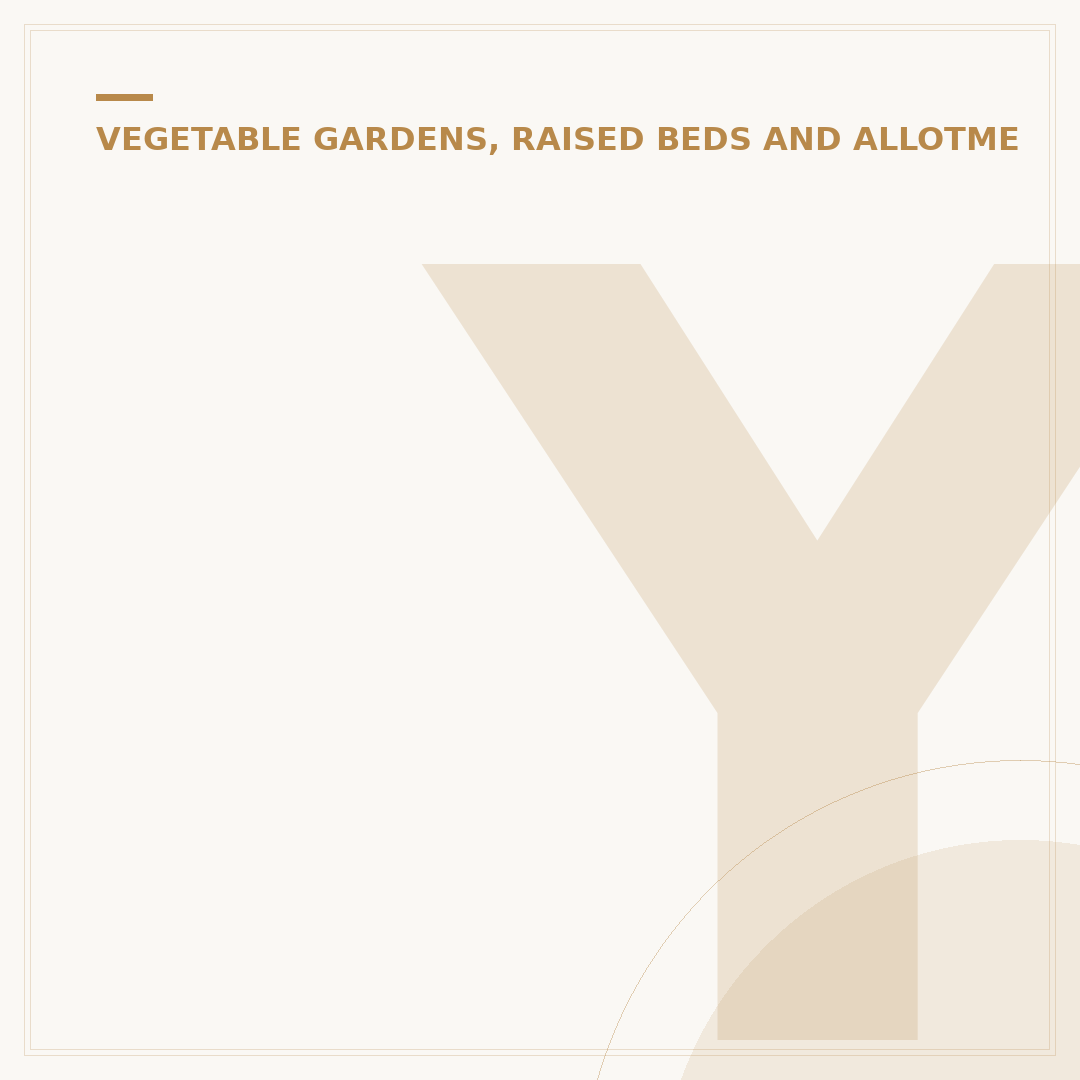 Your Garden Veg Patch: Planning and Alternatives