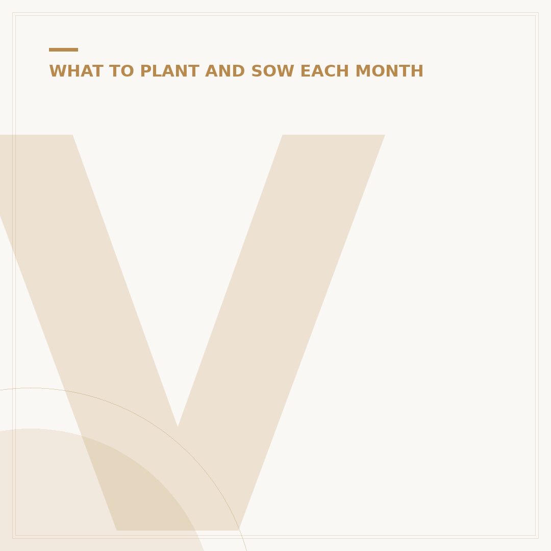Veges to Plant in Winter