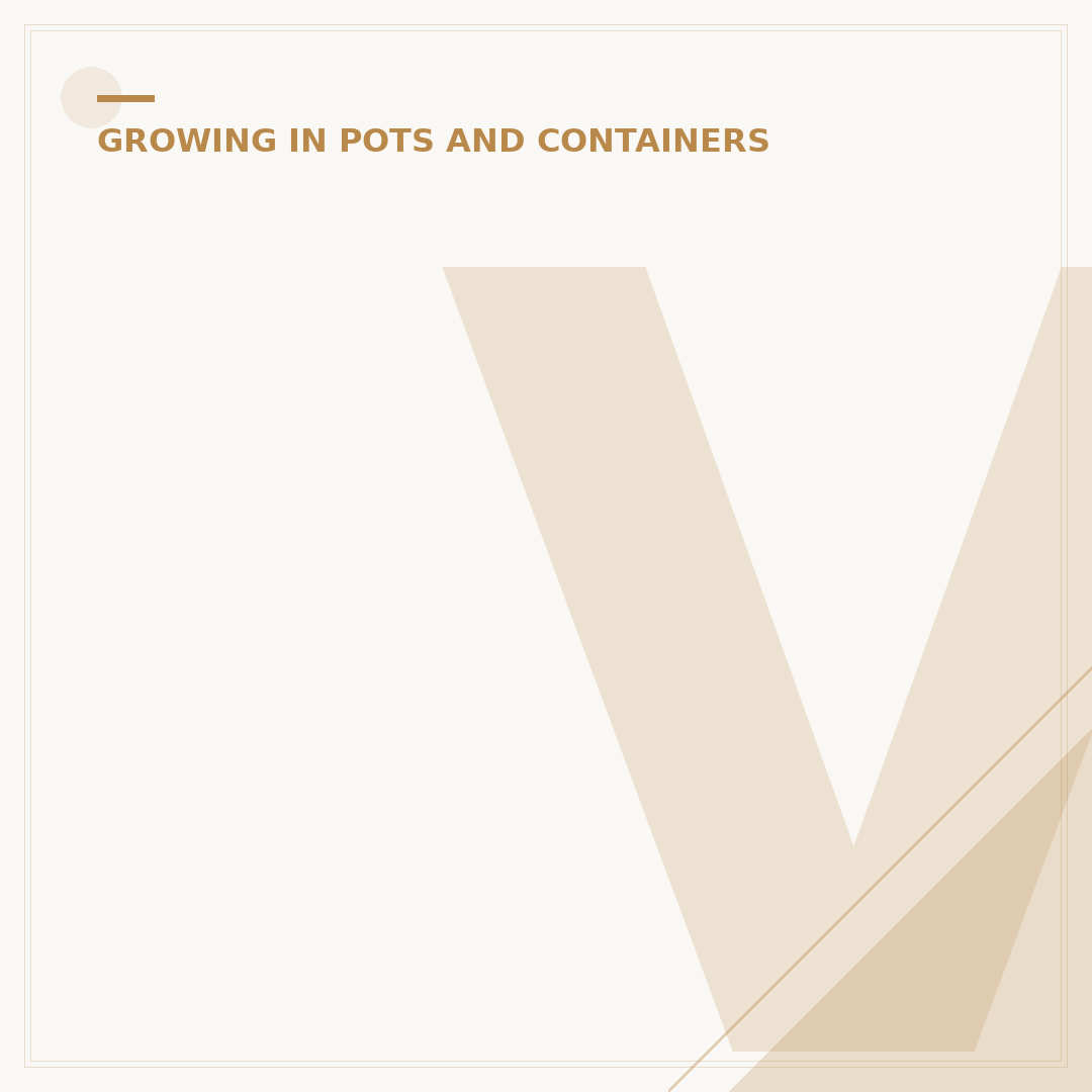 Vegetable Garden Planters