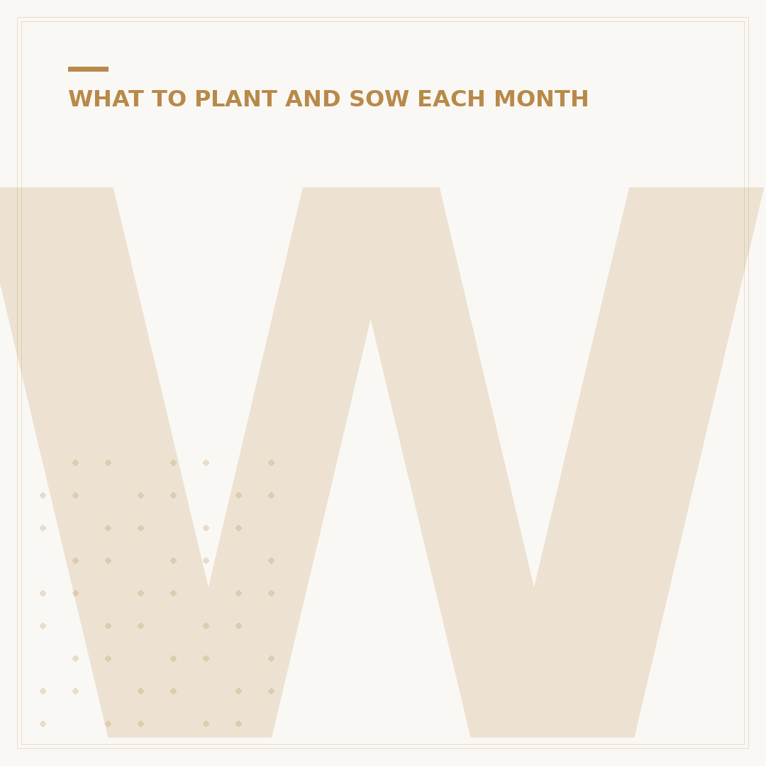 What Vegetables Can I Plant Now for a Great Harvest?
