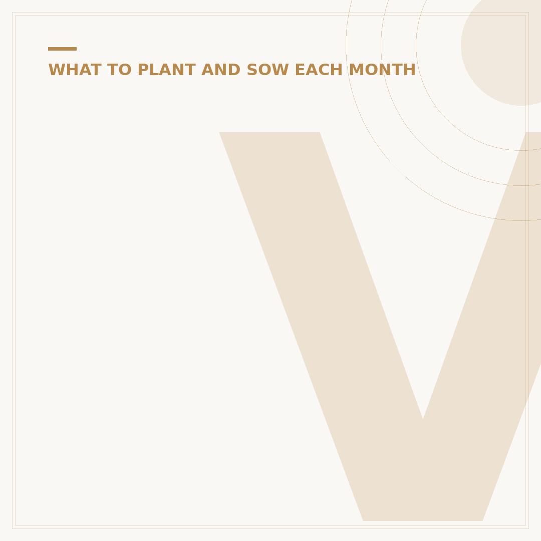 Vegetables to Sow in July for Autumn Harvest