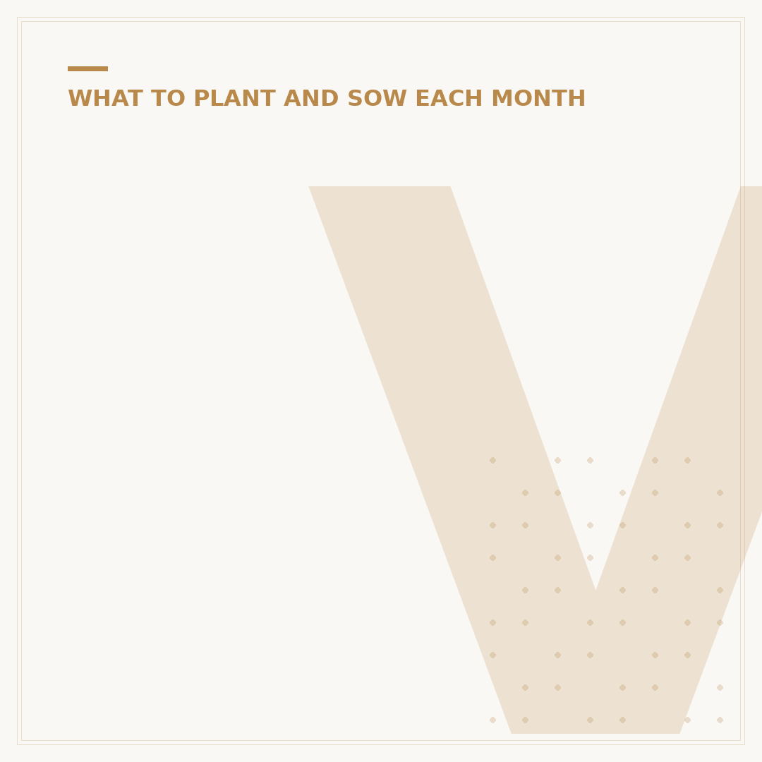 Vegetables to Sow in August for Autumn & Winter Harvest