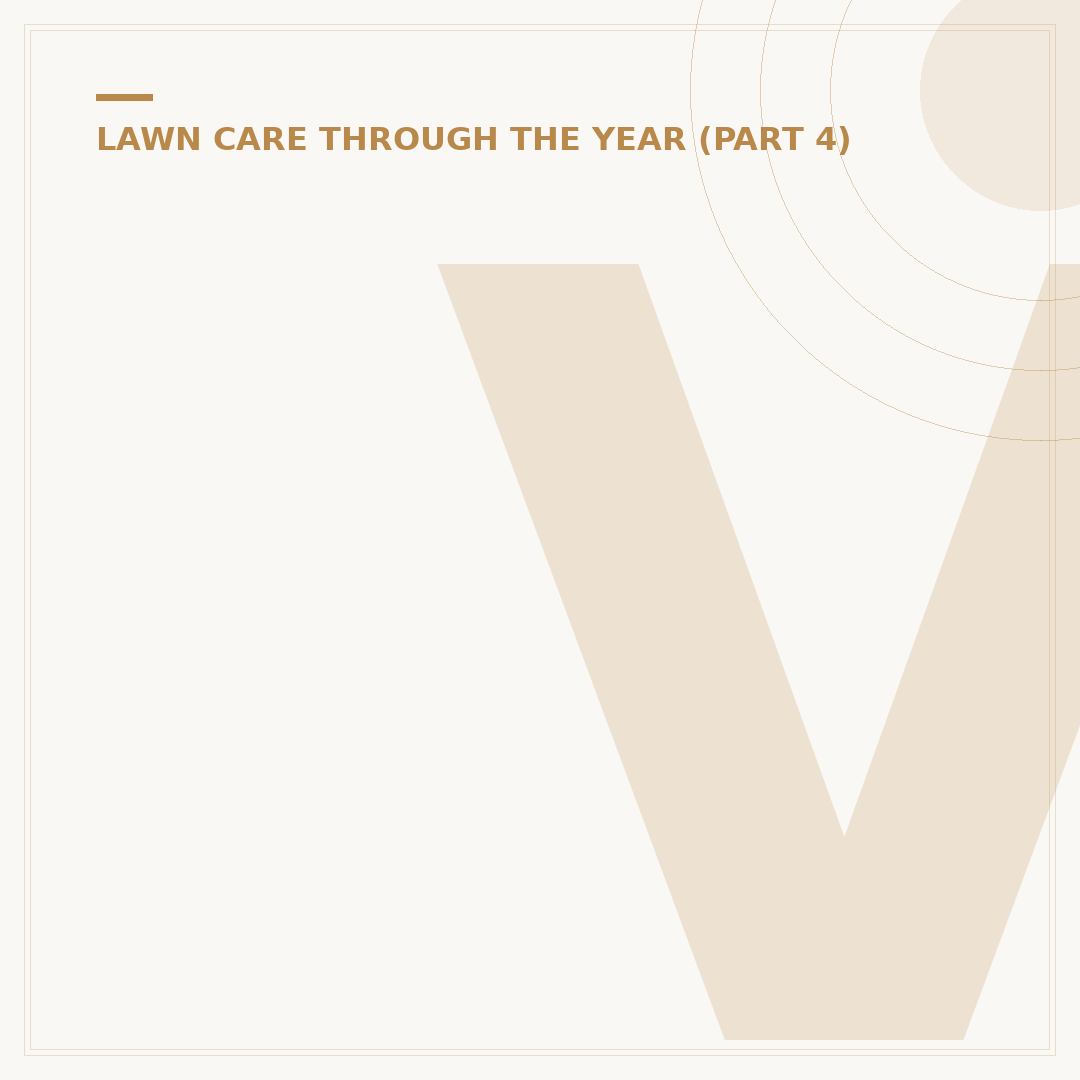 Viano Autumn Lawn Treatment Explained