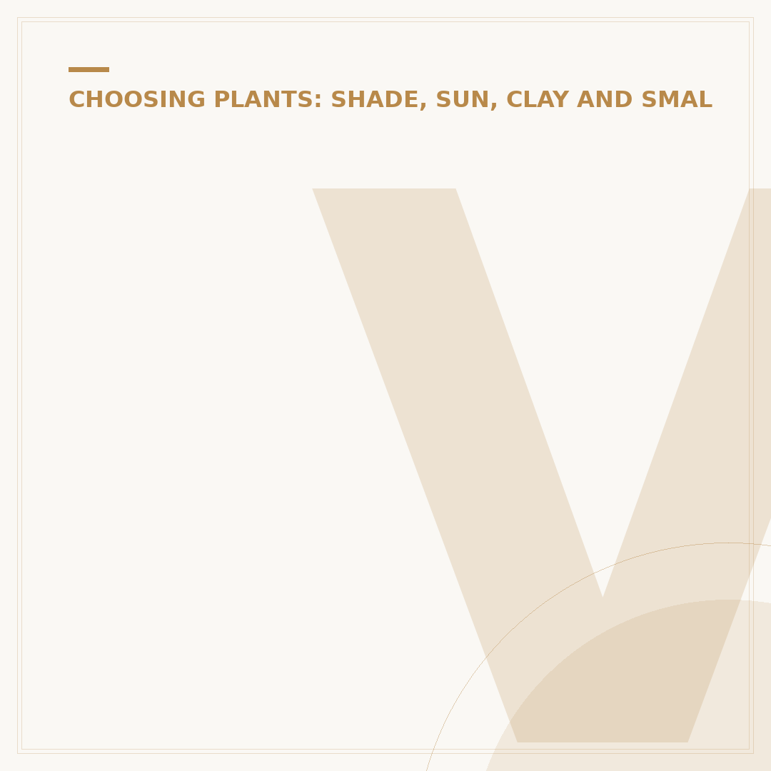 Vinca Ground Cover Plants: Benefits and Varieties