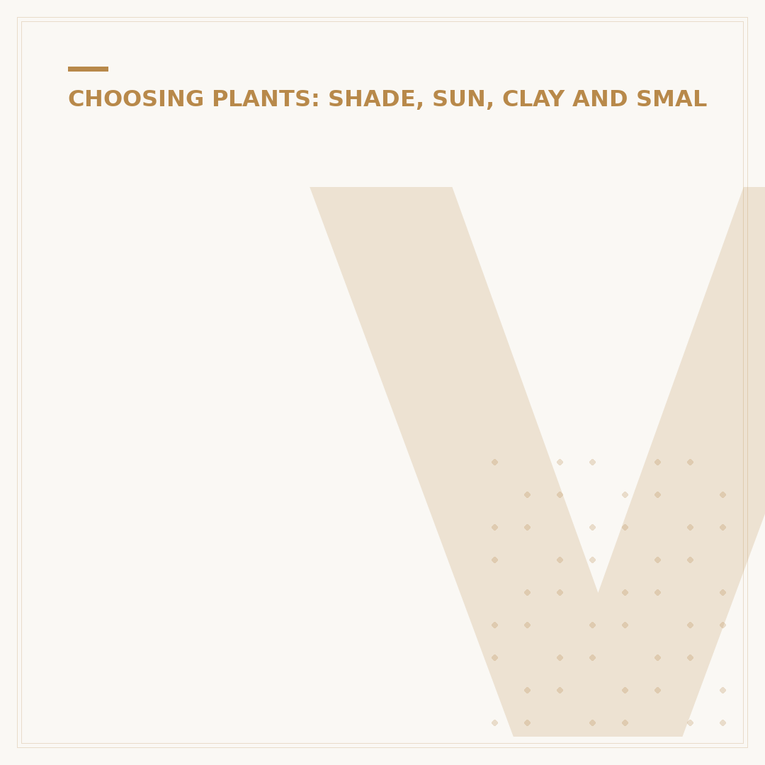 Vinca Minor Ground Cover: Your Shady Spot Solution
