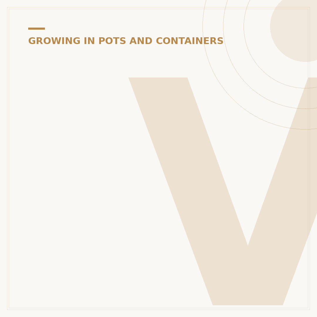 Vine Plants for Pots: Container-Friendly Climbers