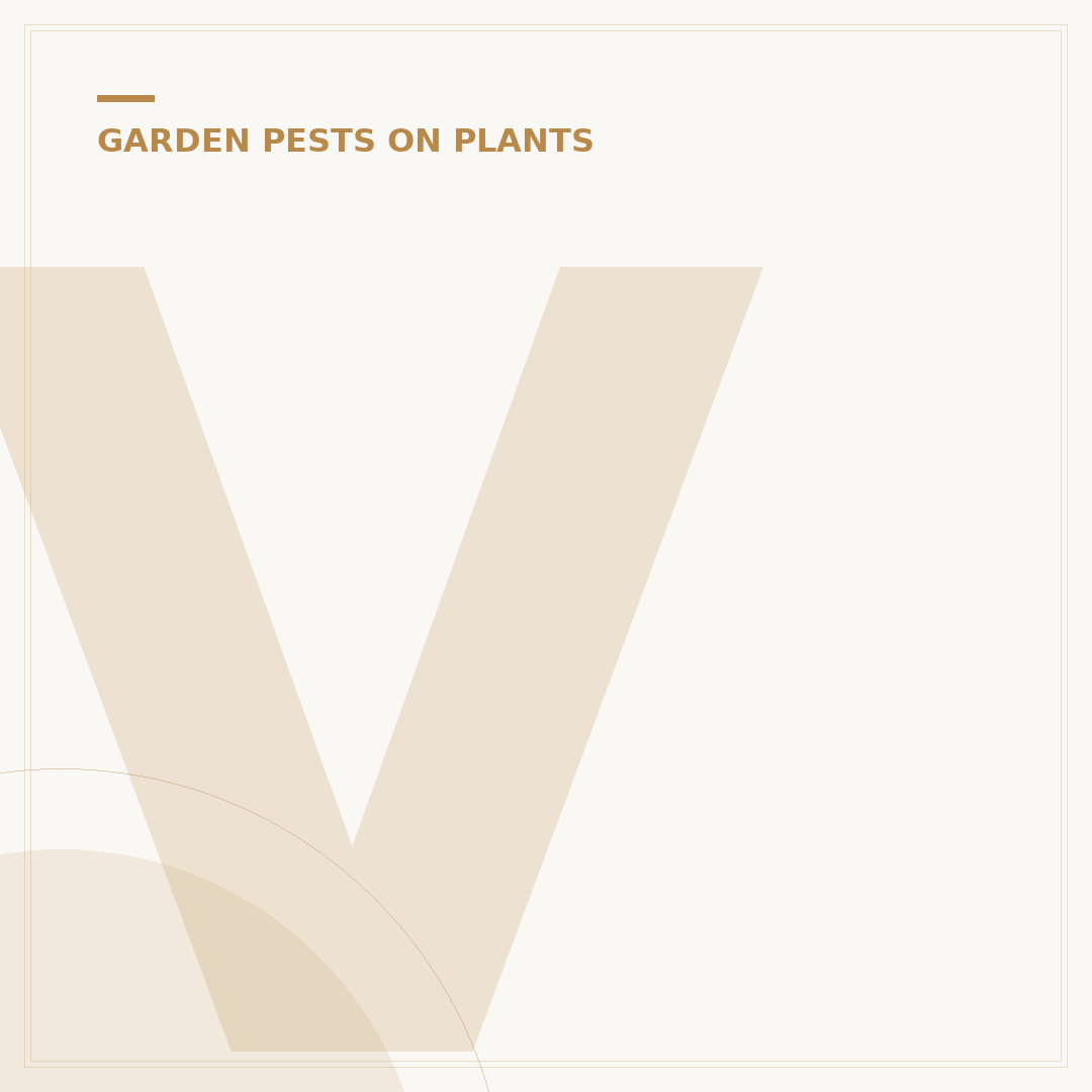 Vine Weevil Damage: Identify and Treat Plants