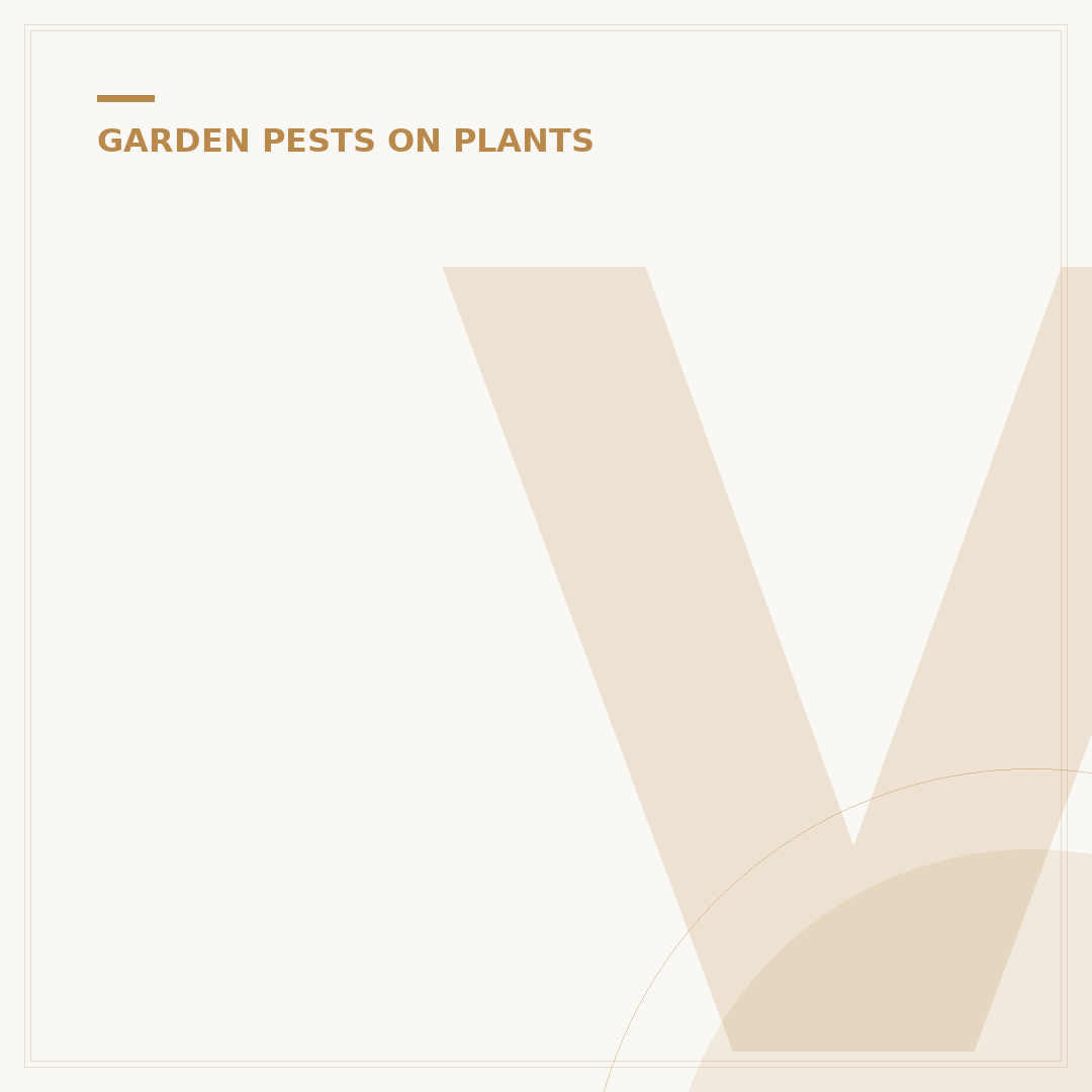 Vine Weevil Treatment: Control & Prevention Methods