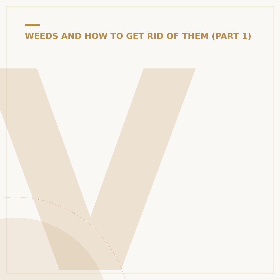 Vinegar for Weeds: A Natural Approach