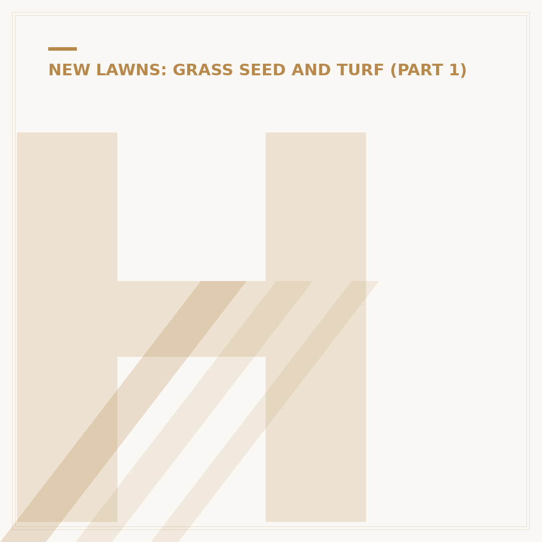 How Often to Water New Turf for Strong Roots