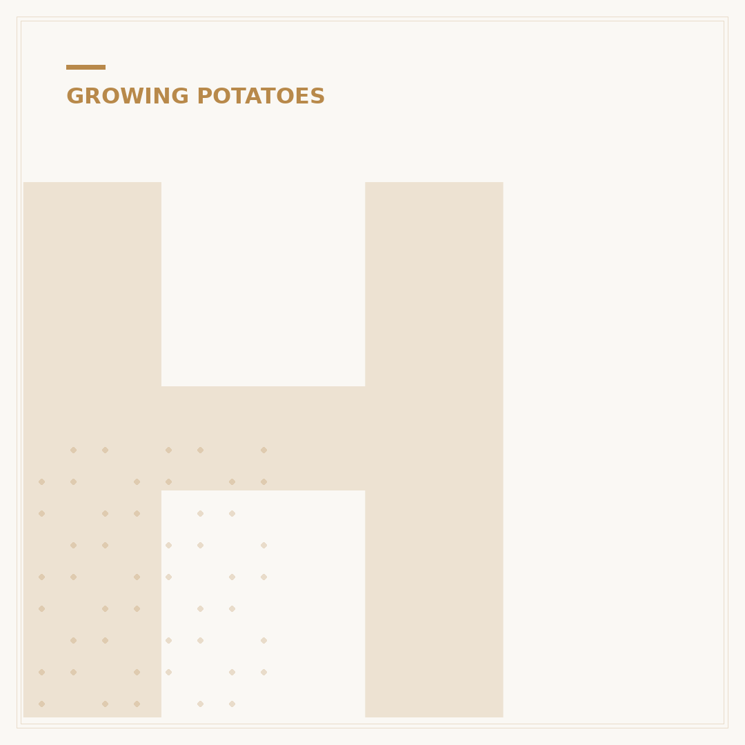 How Often to Water Potatoes