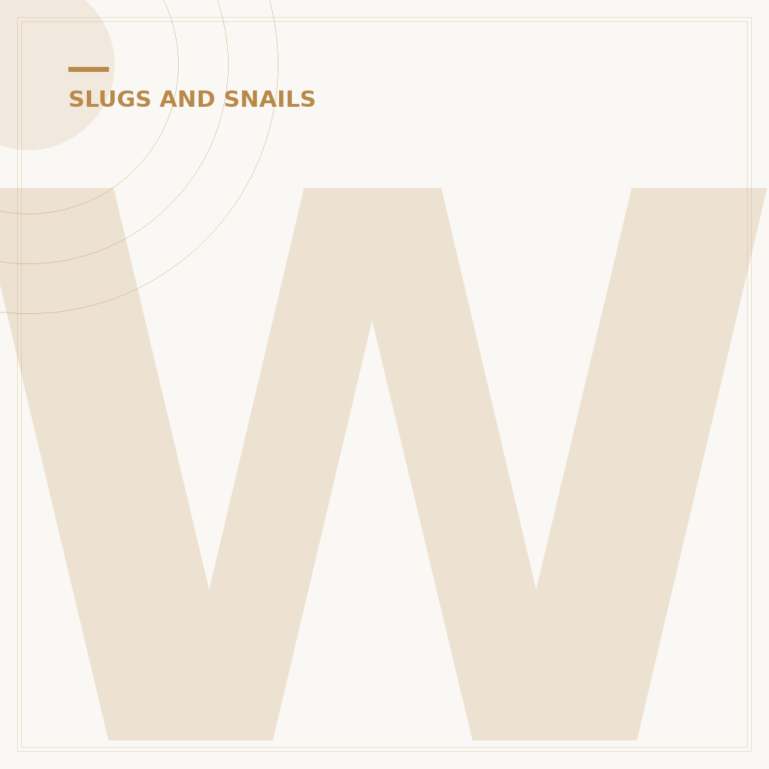 What Attracts Slugs to Your Garden?