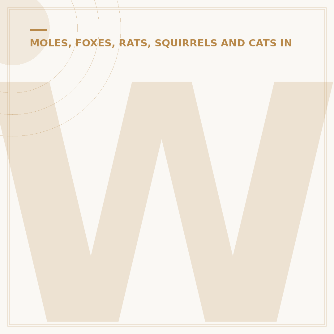 What Deters Cats From Garden: Effective Solutions