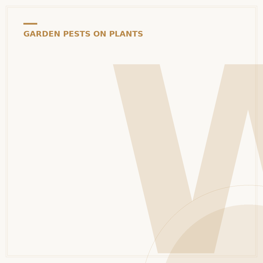 What Eats Aphids? Natural Predators for Your Garden