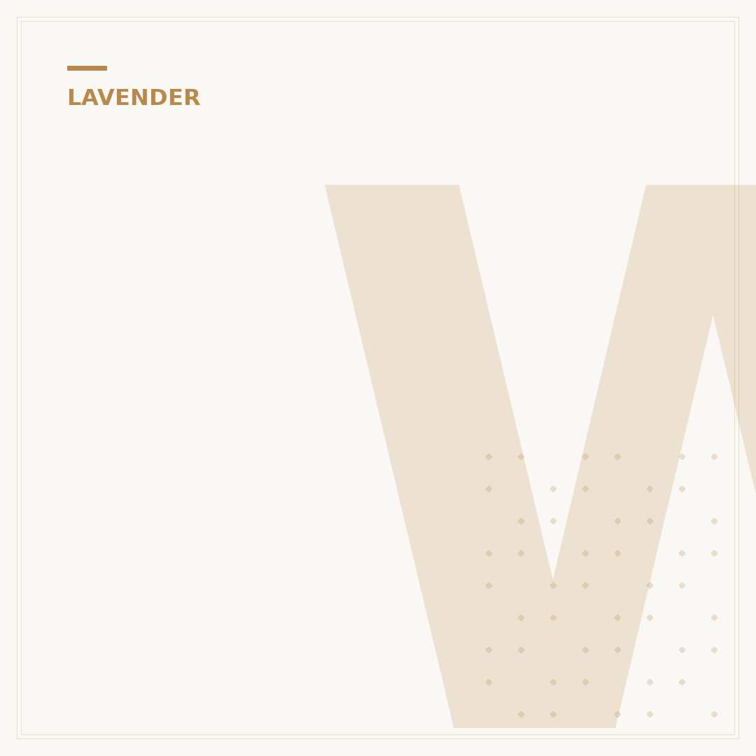 What Does the Lavender Plant Look Like?