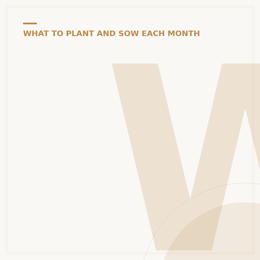 What to Sow Now in the UK