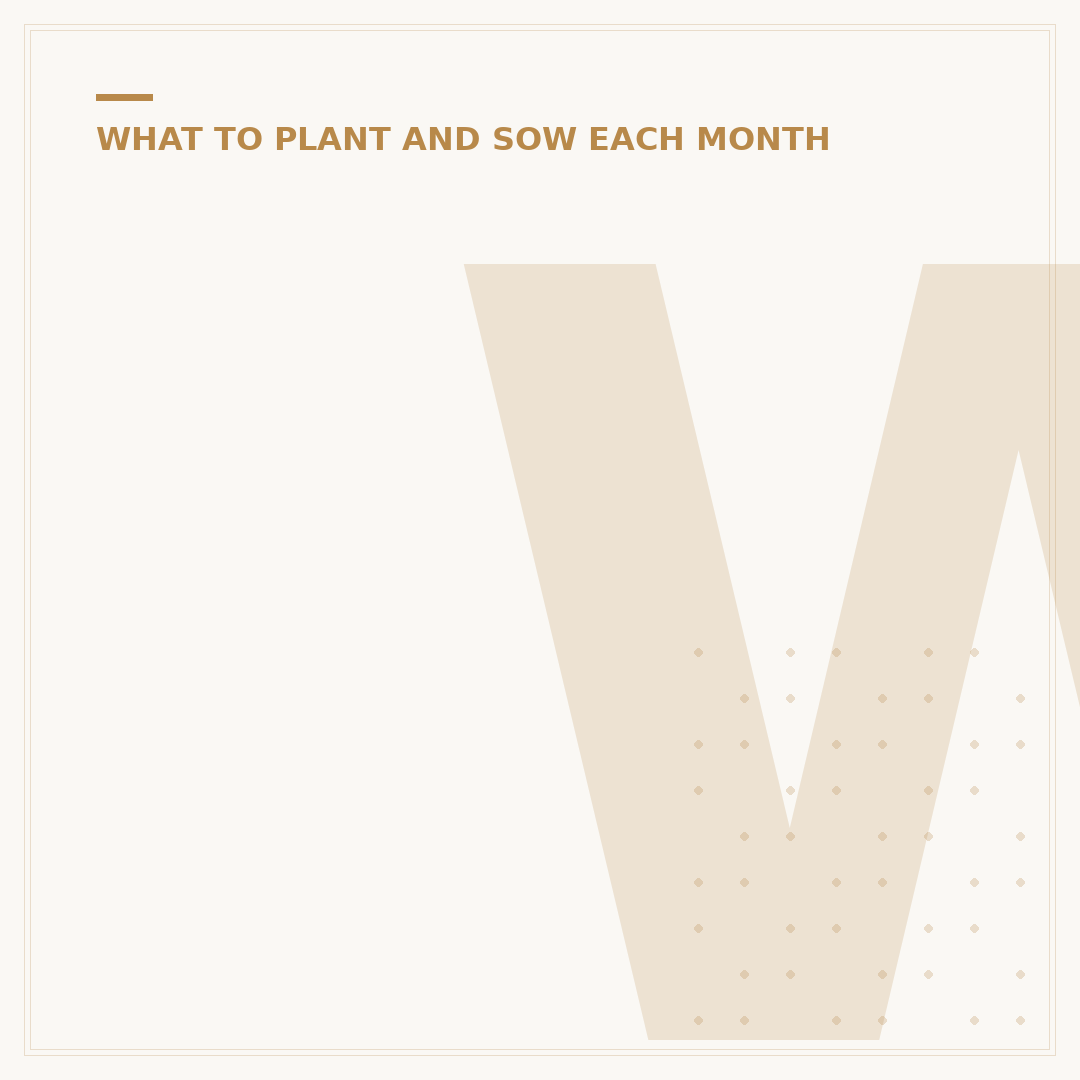 What to Sow in October in the UK