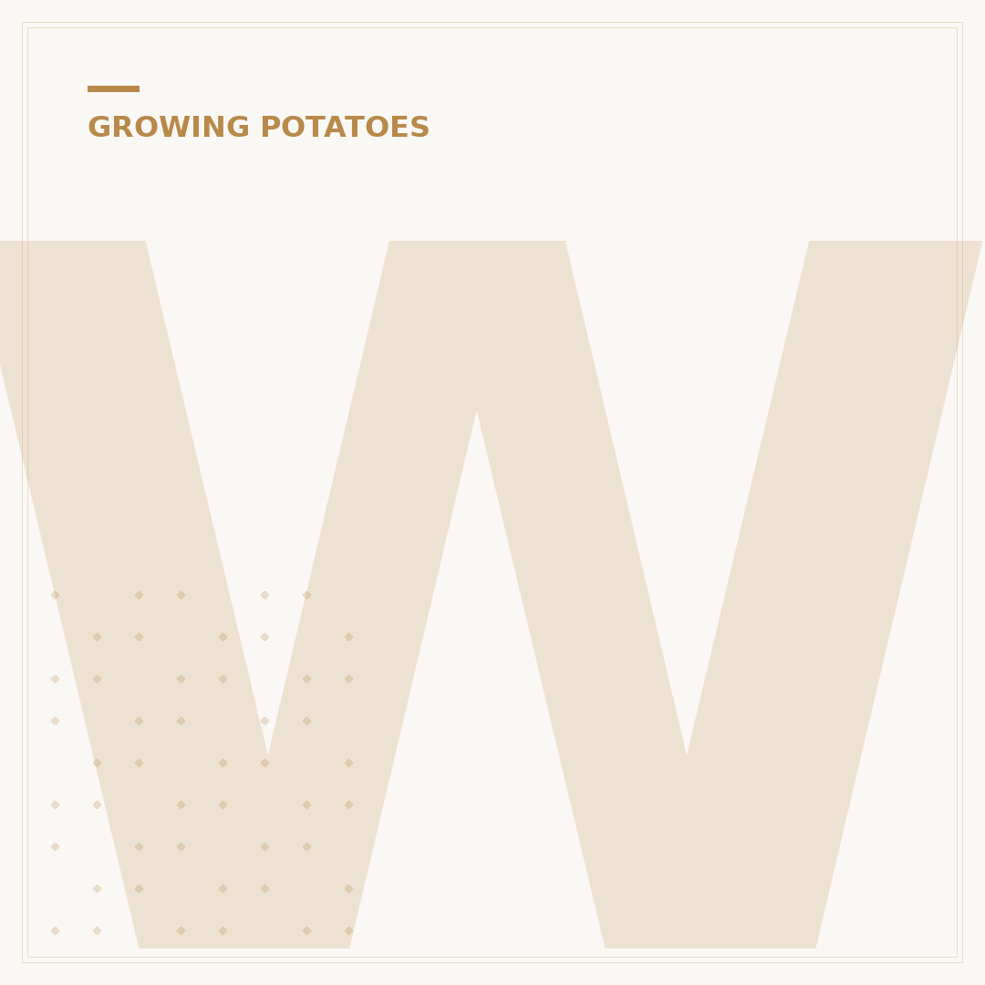 When to Harvest Charlotte Potatoes: Timing Your Crop