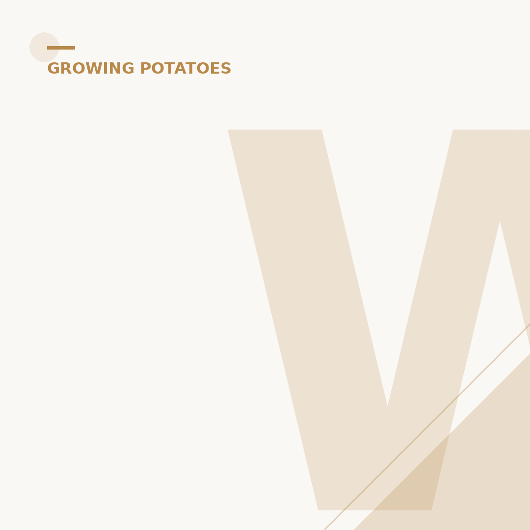 When to Harvest Potatoes: Signs and Methods