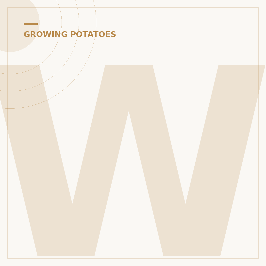 When to Harvest White Potatoes
