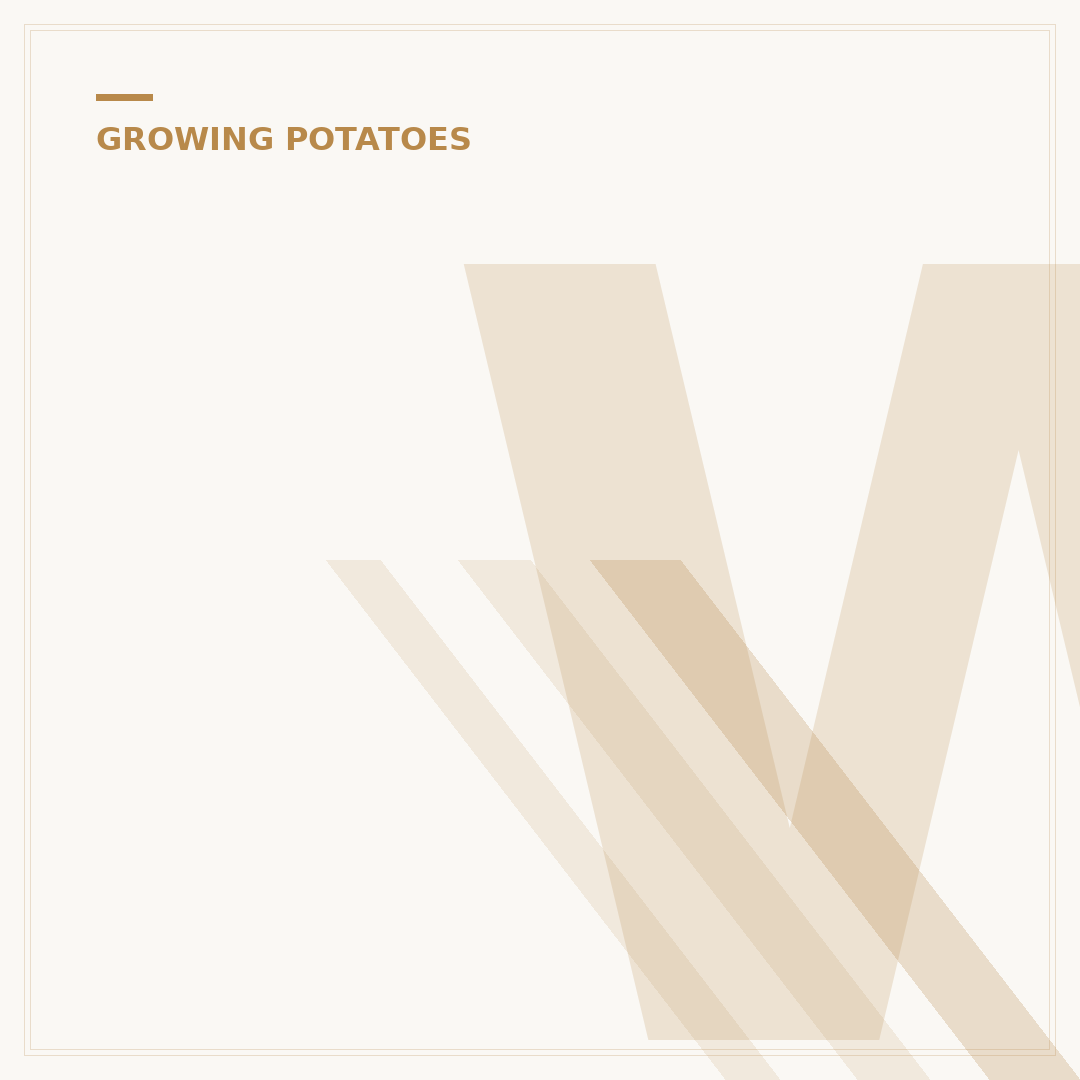 When to Plant 1st Early Potatoes