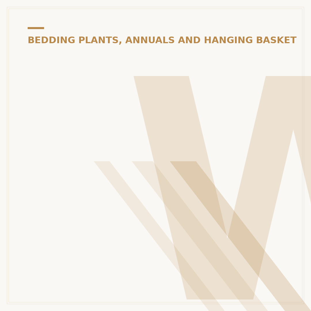 When to Plant Fuchsias: Timing and Conditions Explained