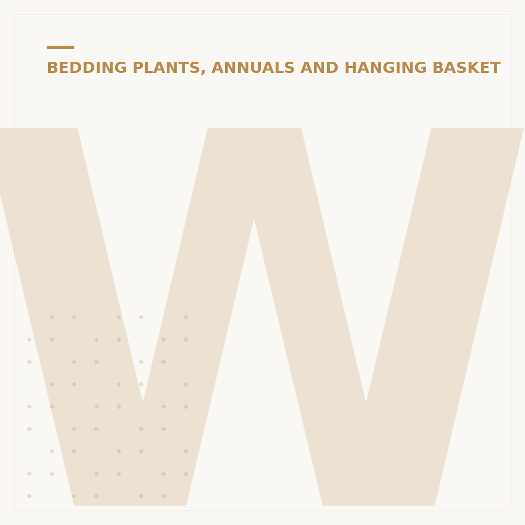When to Plant Marigold Seedlings