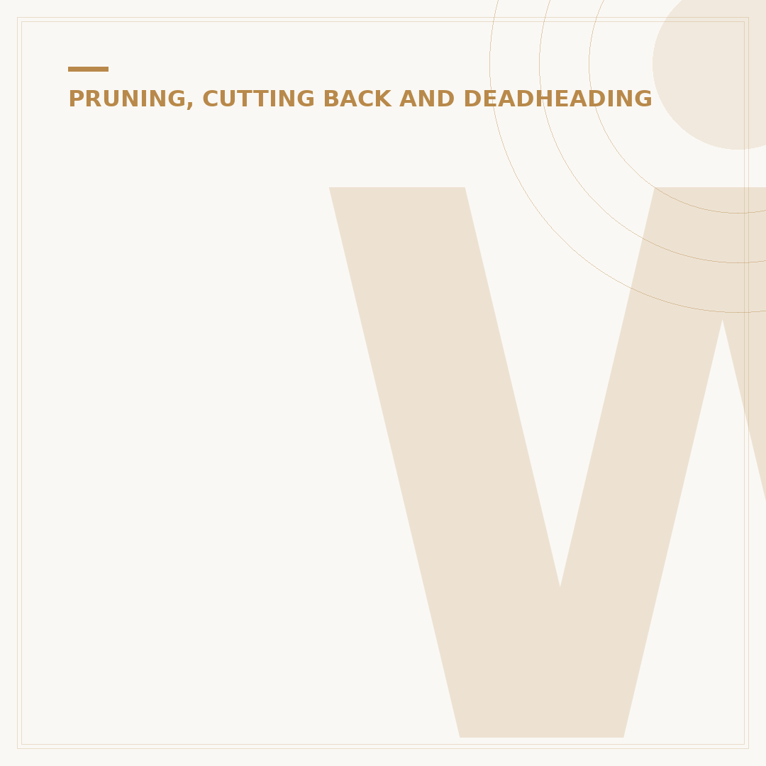 When to Prune Pittosporum: Timing and Techniques