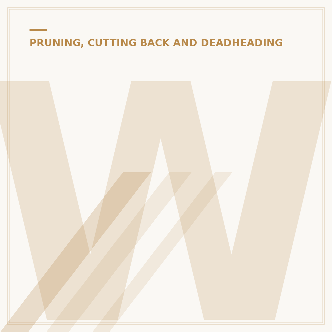 When to Prune Salix Flamingo Willow